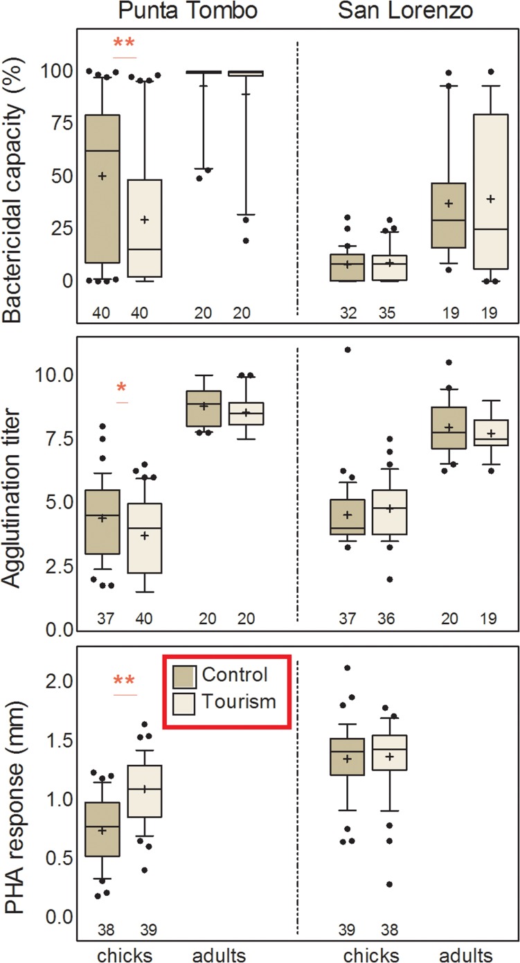 Figure 4: