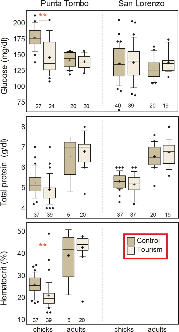 Figure 5: