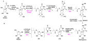 Scheme 3