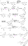 Scheme 2