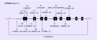 <b>Figure 3.</b>