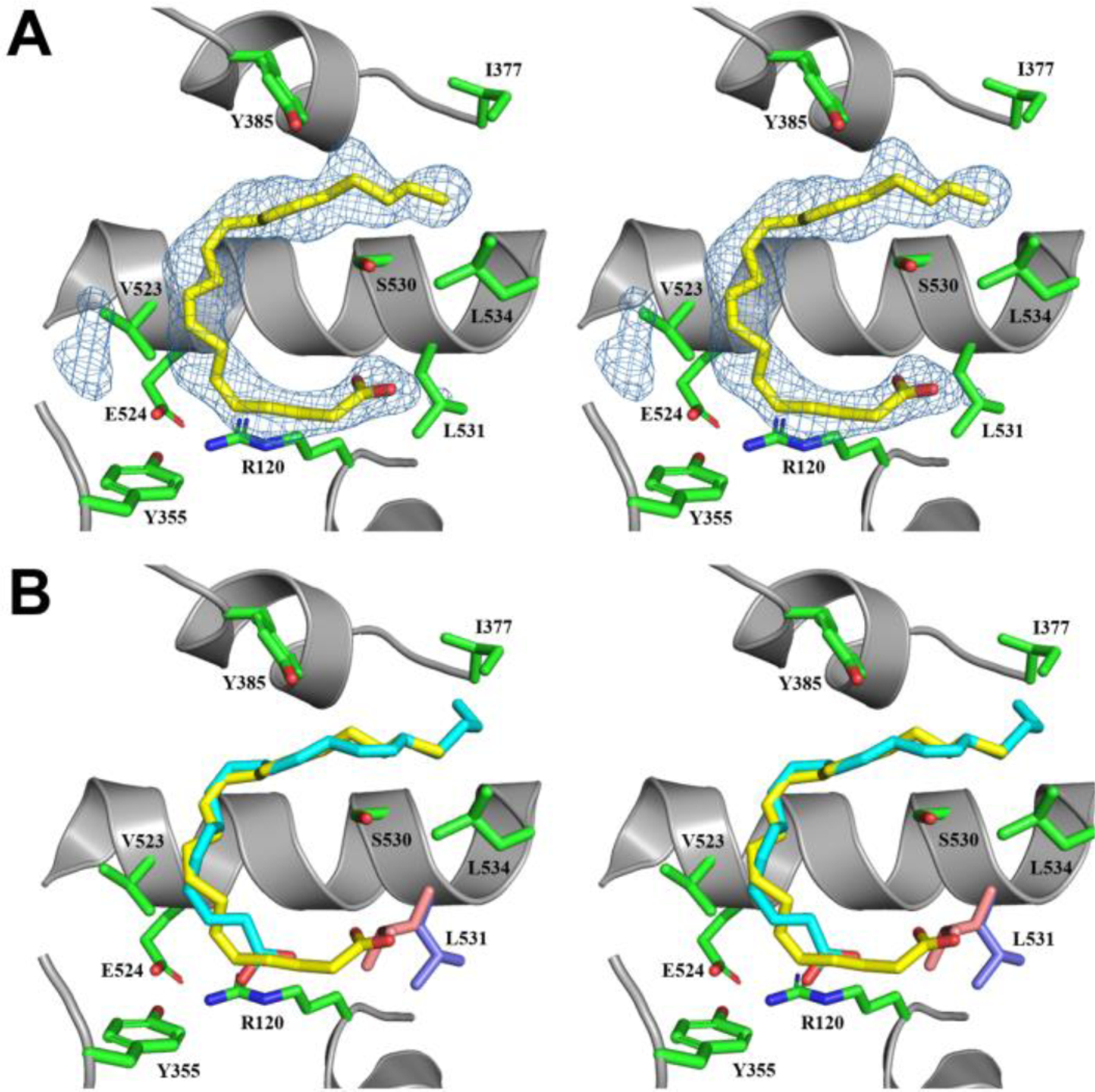 Figure 6.