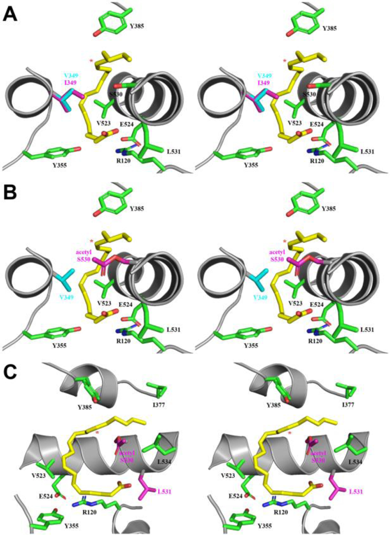 Figure 7.