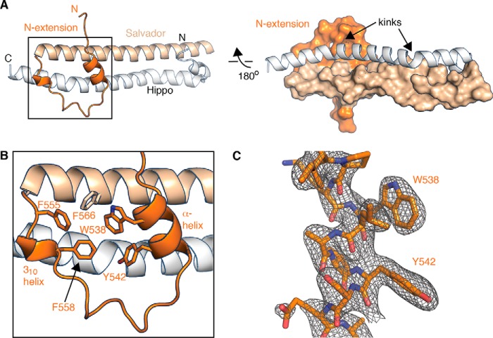 Figure 2.