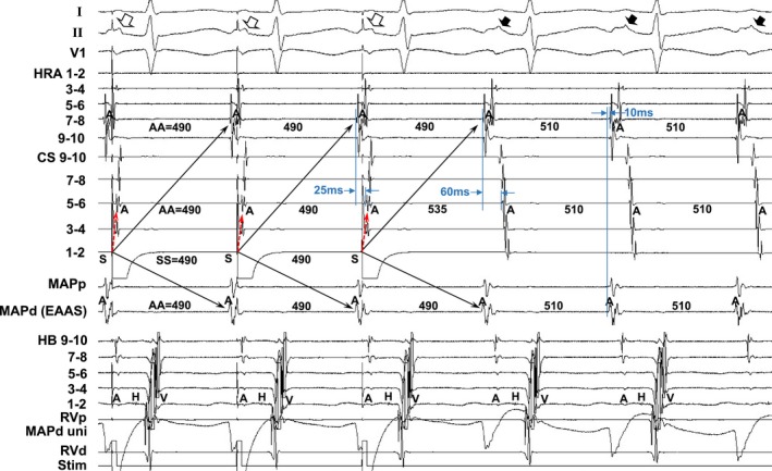 Figure 5