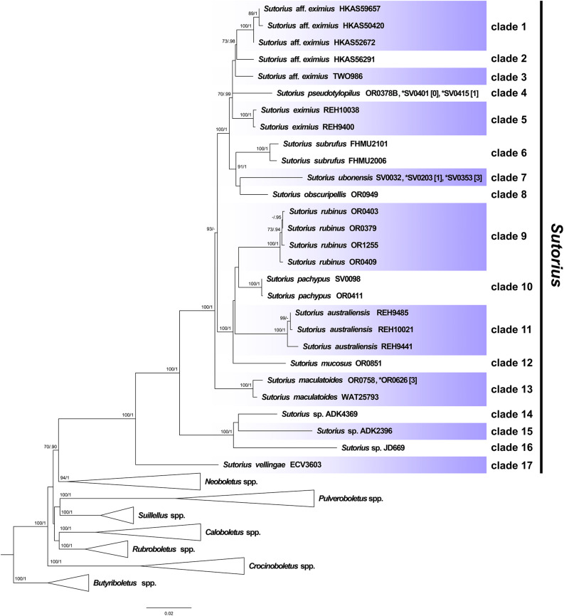 FIGURE 1