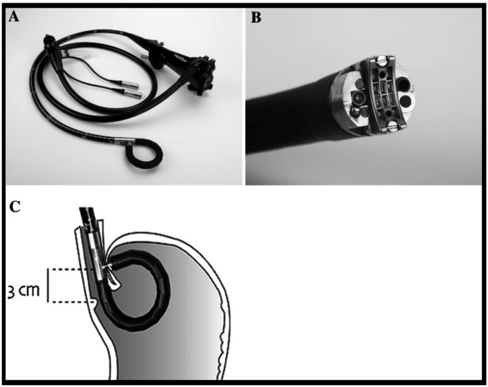 Figure 4.