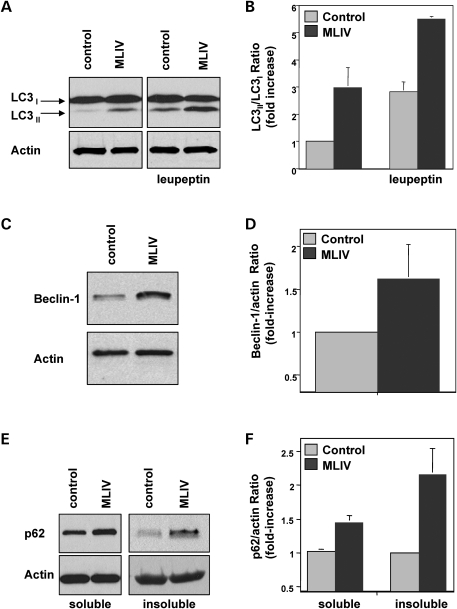 Figure 2.