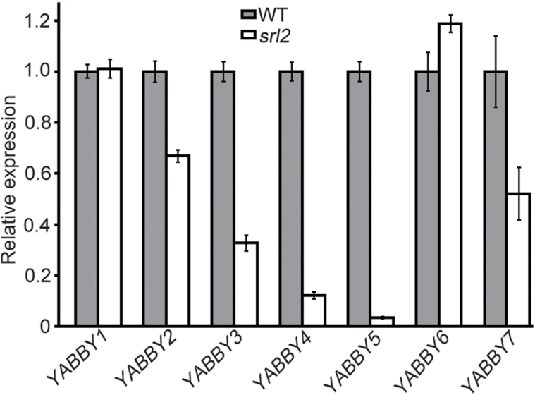 Fig. 6.