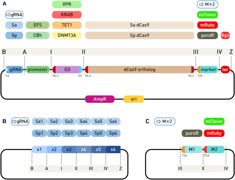 Figure 3.