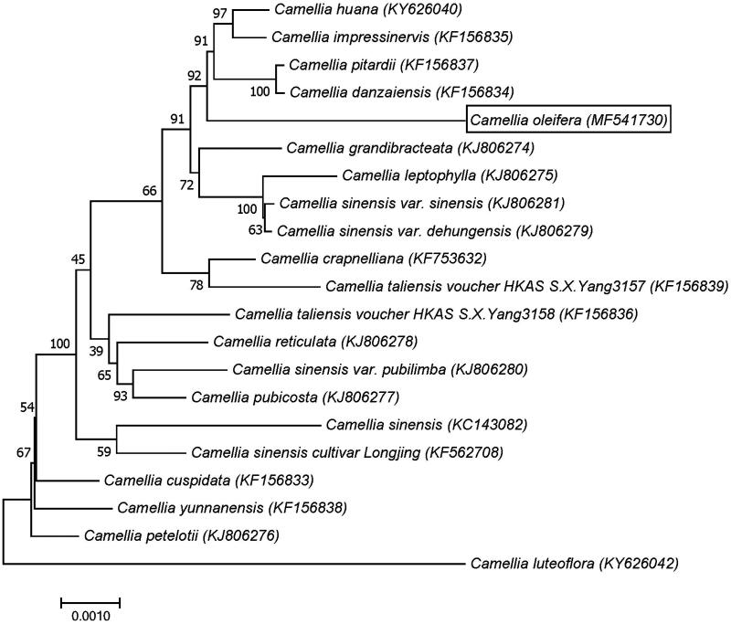 Figure 1.