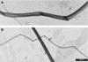 Fig. 9