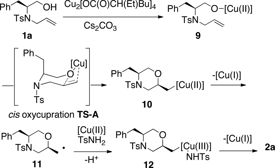 Scheme 2