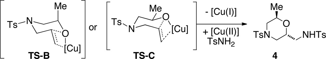 Scheme 3