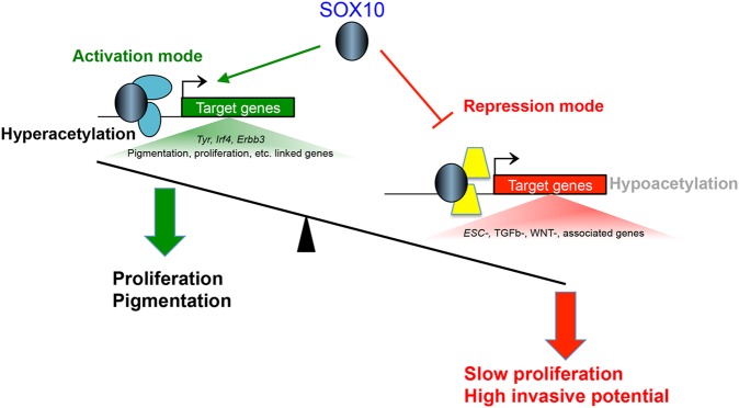 Figure 7.