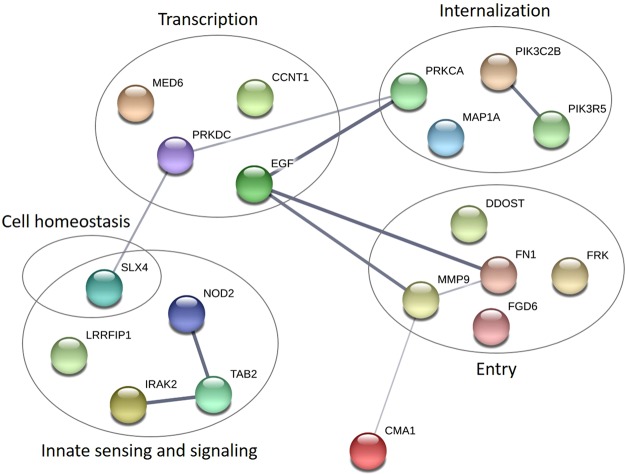 Figure 4