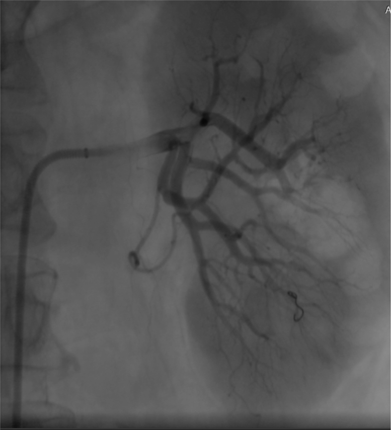 Figure 7