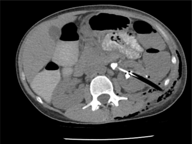 Figure 4