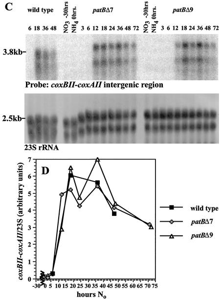 FIG. 5.