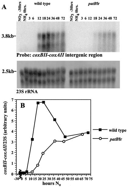 FIG. 5.