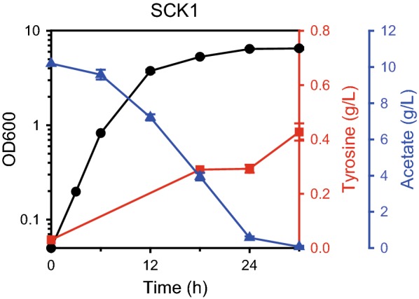 Fig. 2