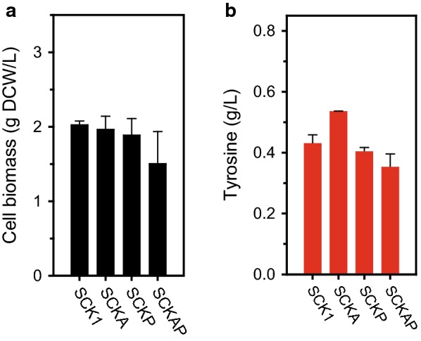 Fig. 3