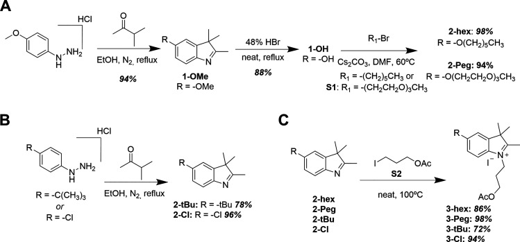 Scheme 1