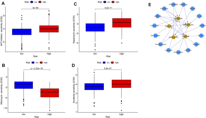 FIGURE 13