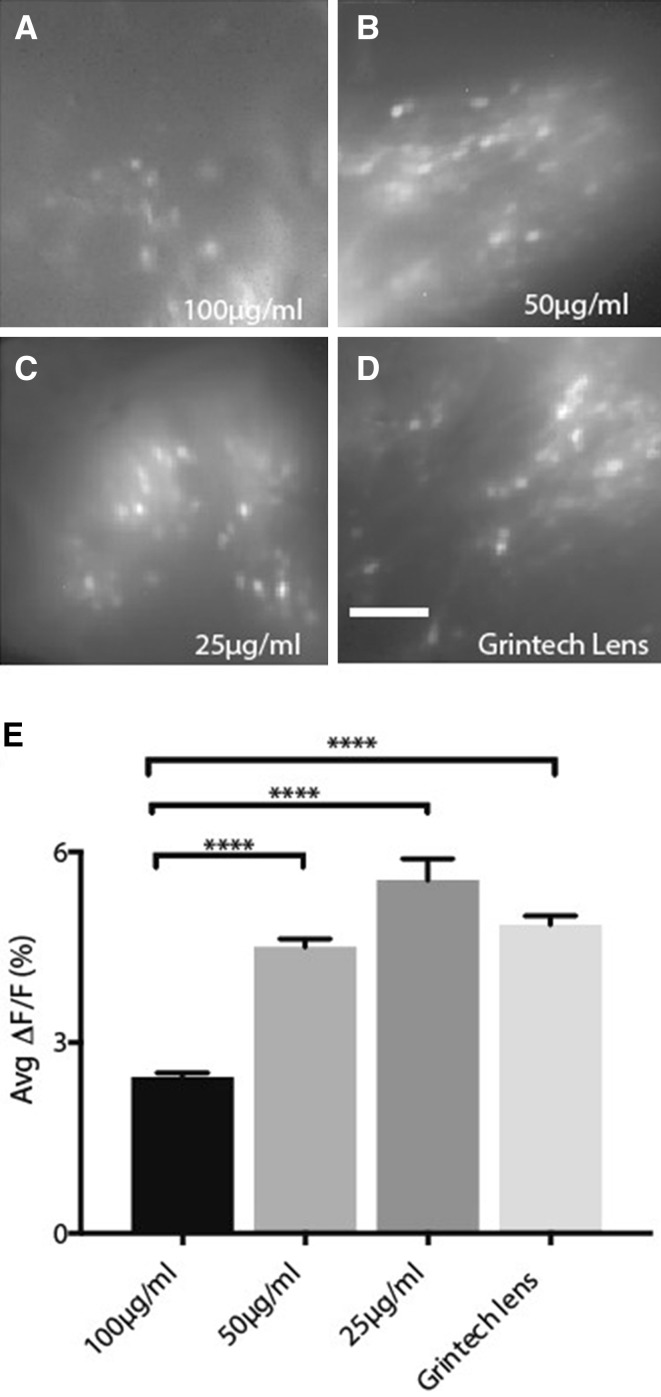 Fig. 3