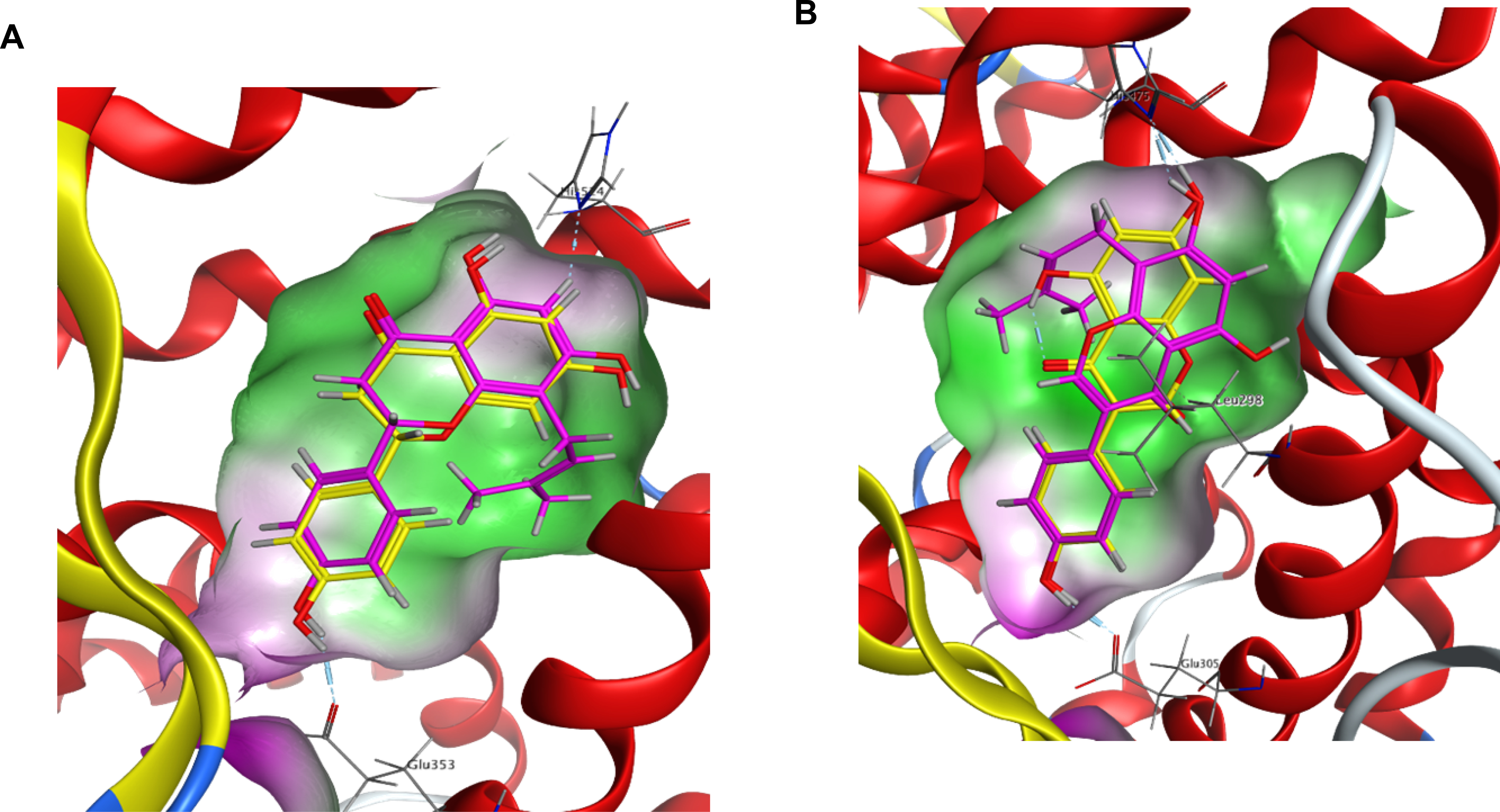 Figure 2.