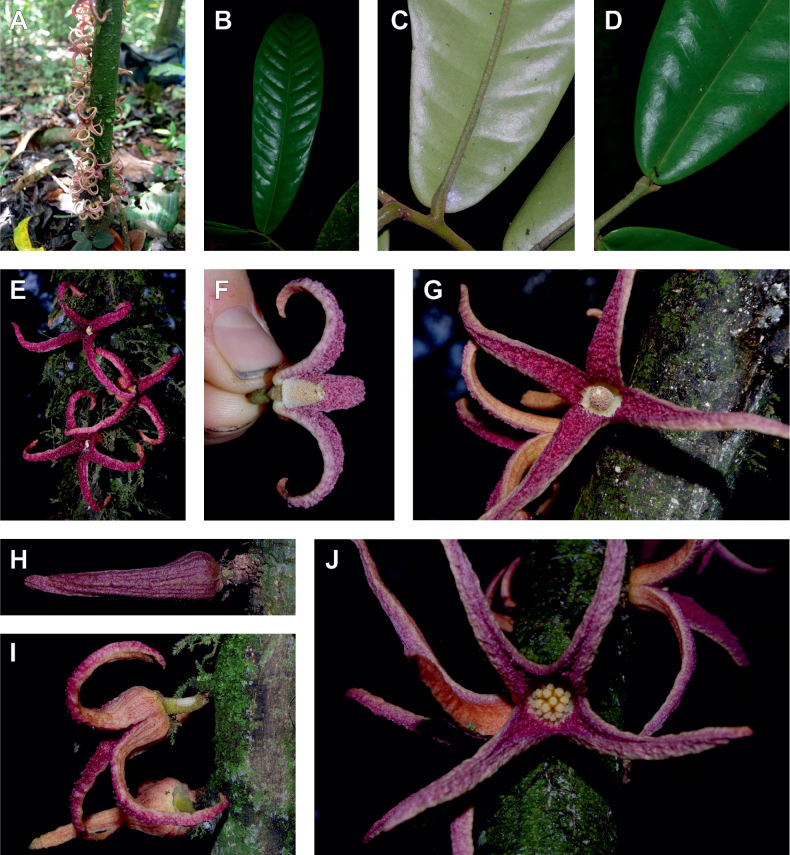 Figure 48.