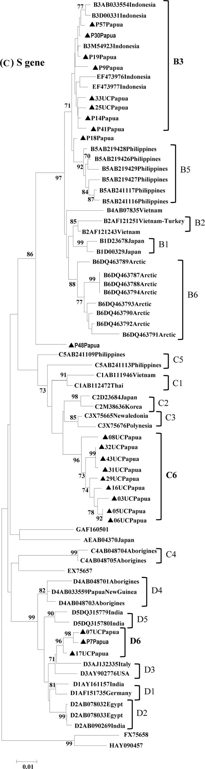 FIG. 1.