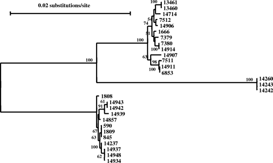 FIG. 3.