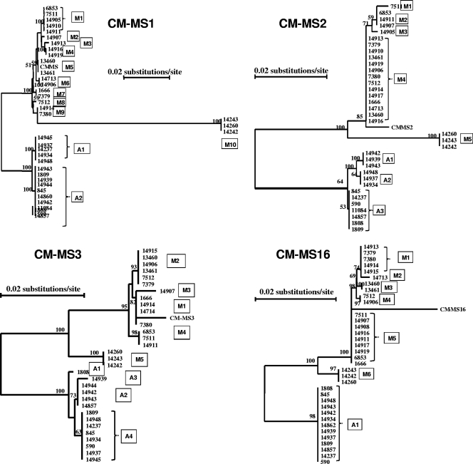 FIG. 2.