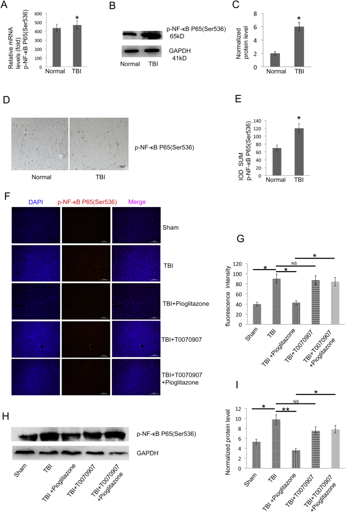 Figure 6