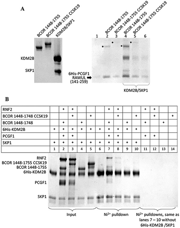 Figure 5.