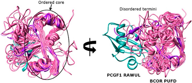 graphic file with name nihms-1744018-f0001.jpg