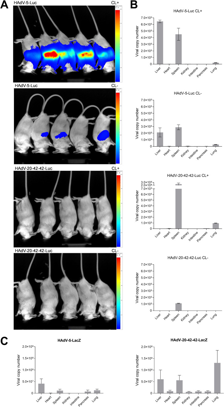 FIG 6