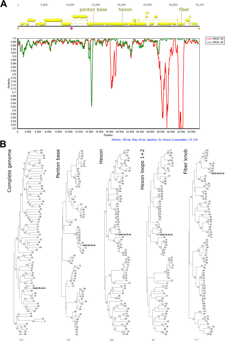 FIG 1