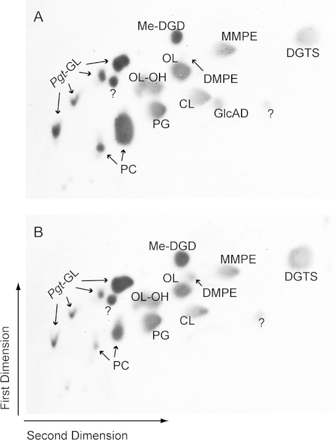 FIG 3