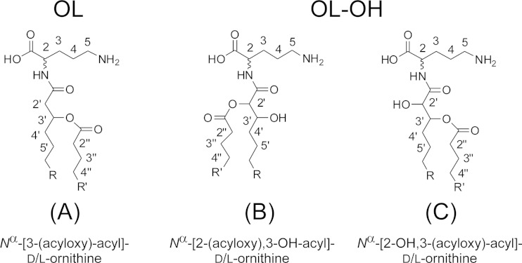 FIG 8