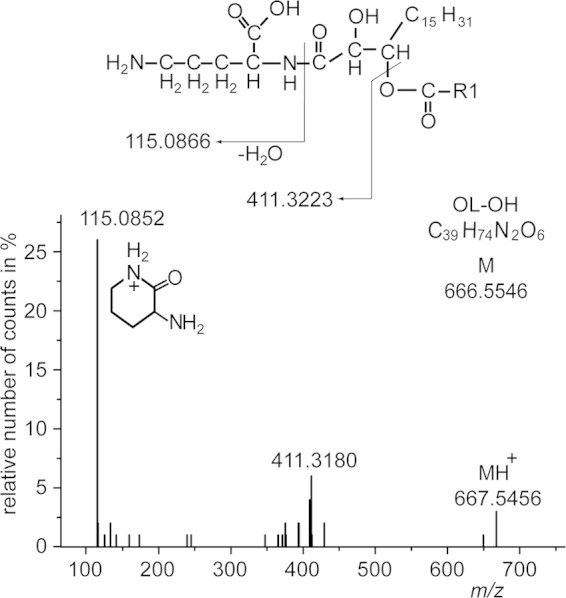 FIG 6