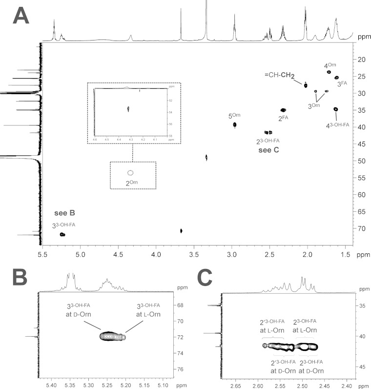 FIG 9