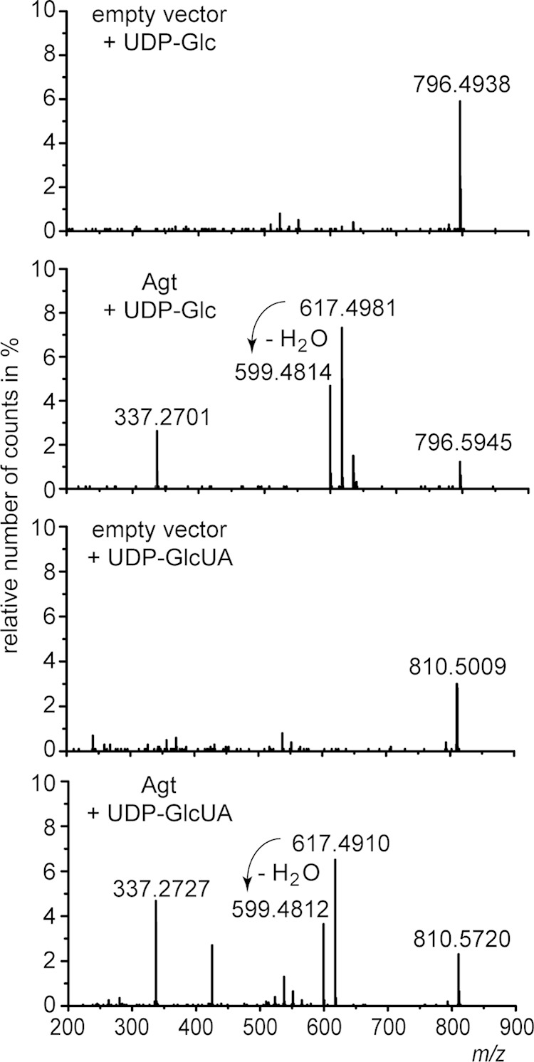 FIG 5