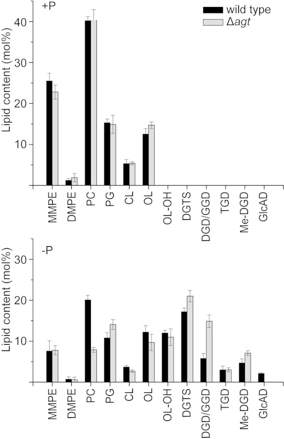 FIG 11