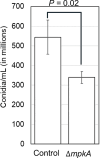 Fig. 9
