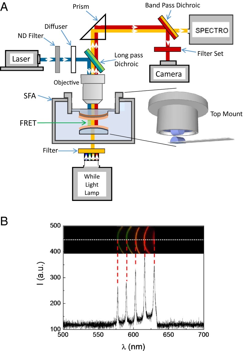 Fig. 2.