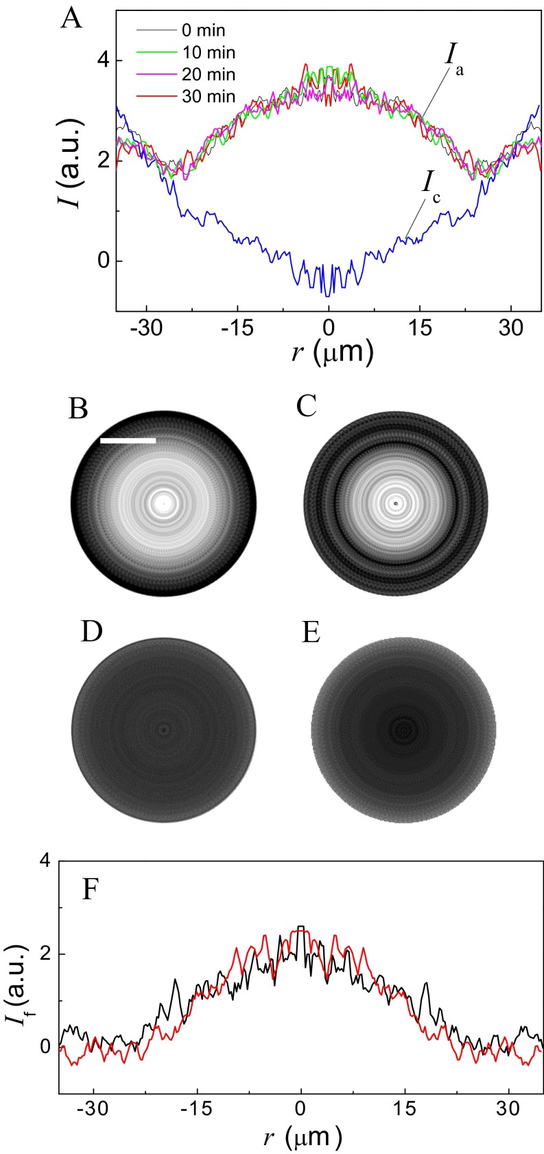 Fig. S4.