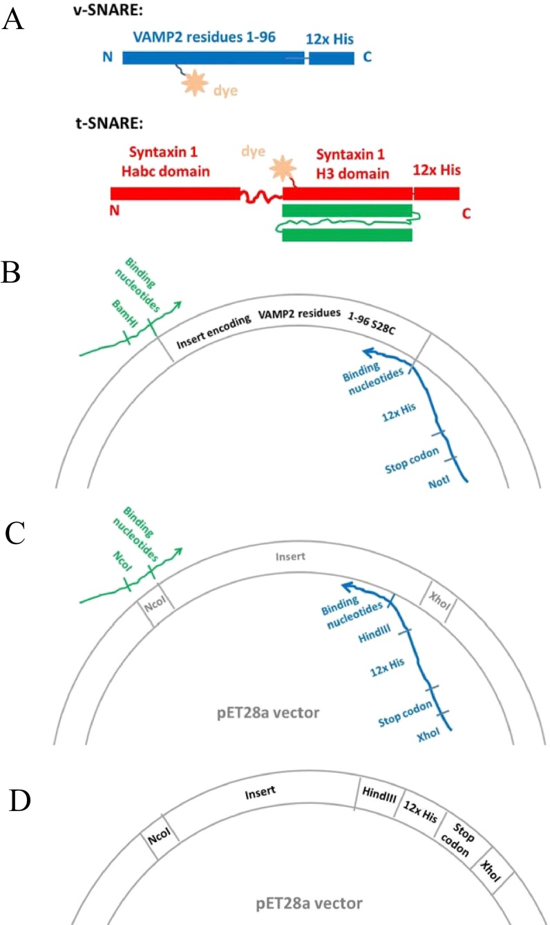 Fig. S5.