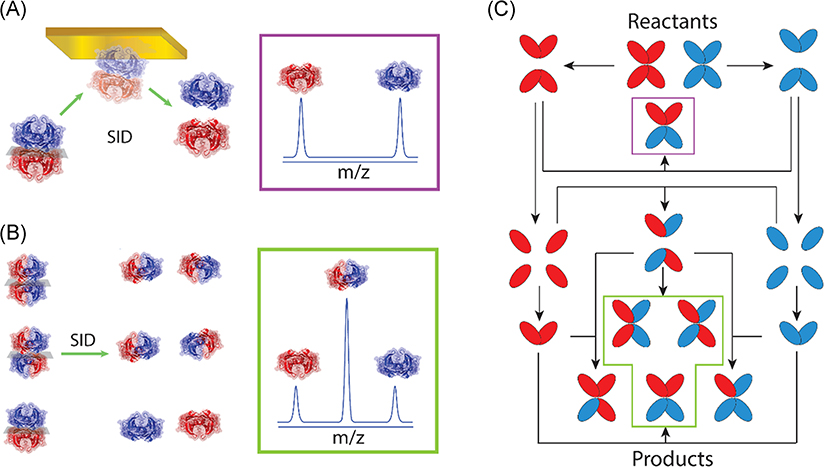 FIGURE 20.